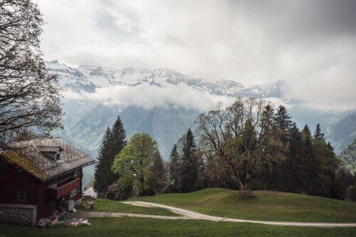 Manali Retreats: Reconnect with Nature, Yourself, and the Mountains