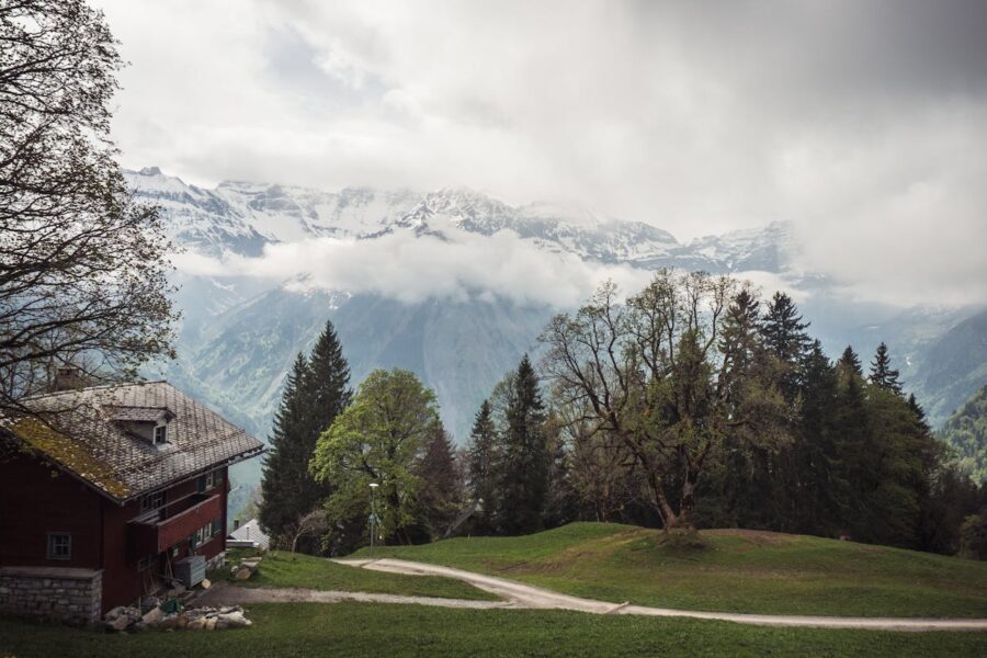 Manali Retreats: Reconnect with Nature, Yourself, and the Mountains