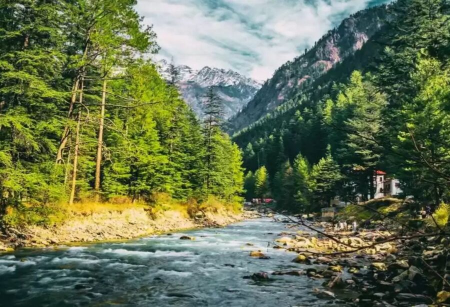 Why Jibhi Is The New Favorite For Nature Lovers